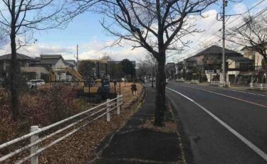 平野美宇選手優勝おめでとう