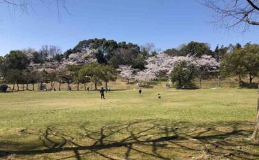 休みの過ごし方