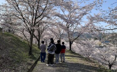 桜満開🌸