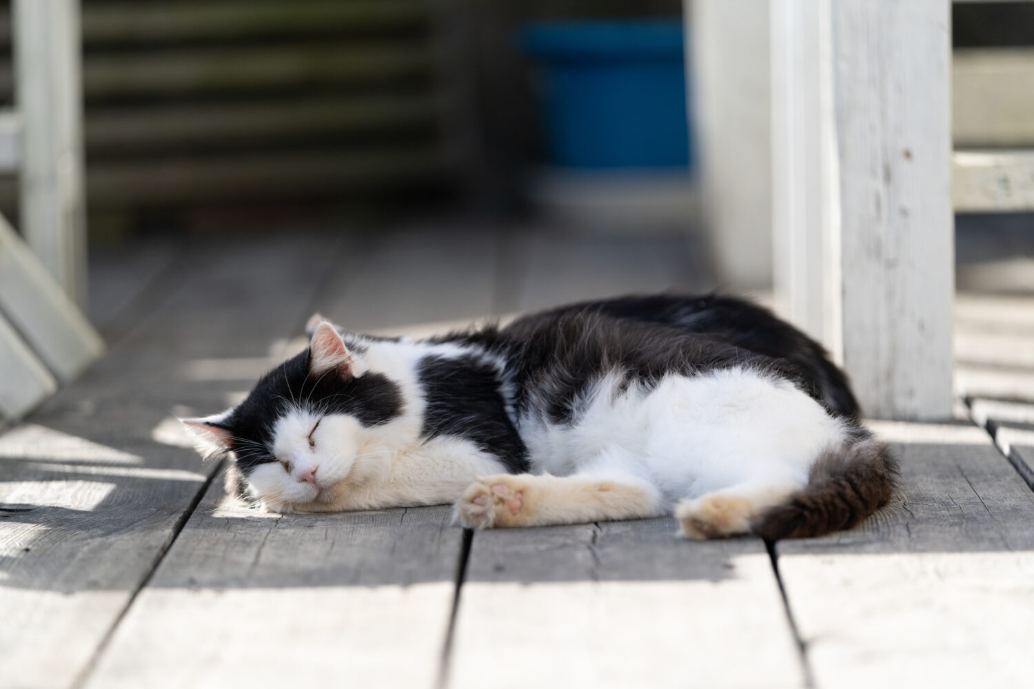 多治見市完成邸見学会